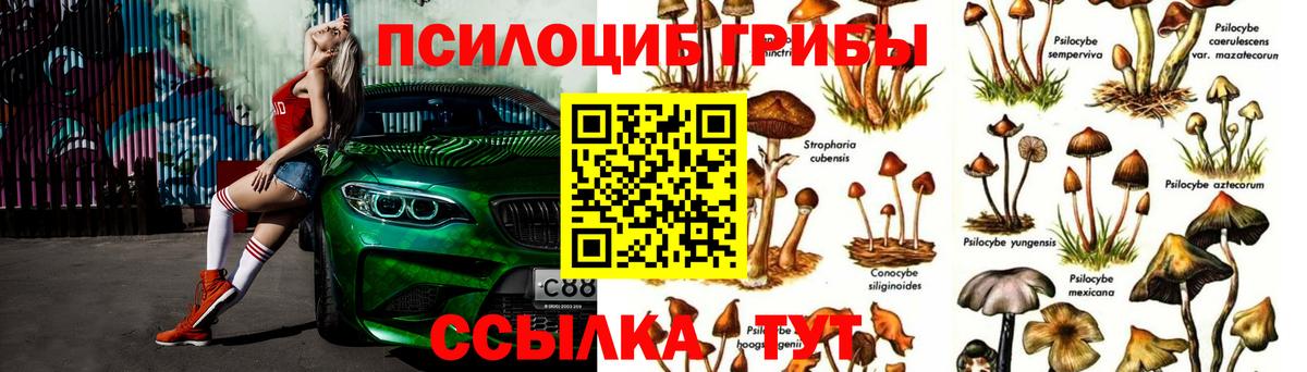 Галлюциногенные грибы мухоморы Кольчугино