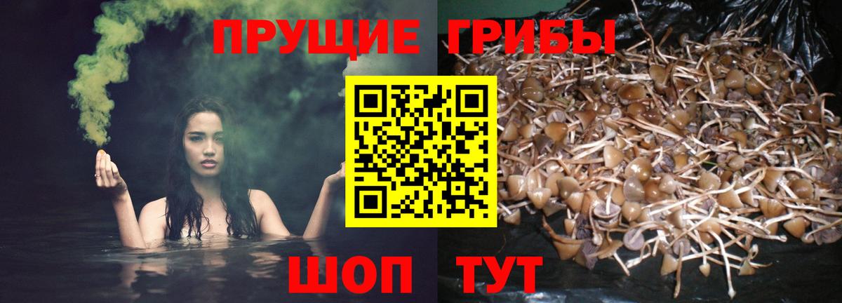 Кольчугино  Галлюциногенные грибы Magic Shrooms  купить   Вход с VPN 